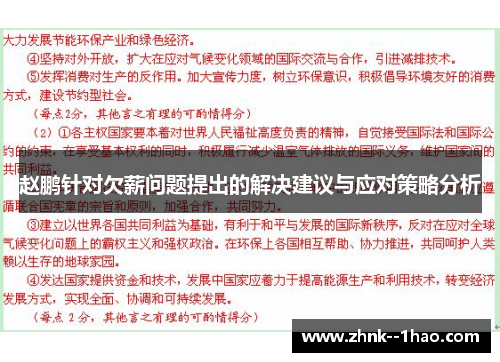 赵鹏针对欠薪问题提出的解决建议与应对策略分析 赵鹏针对欠薪问题提出的解决建议与应对策略分析