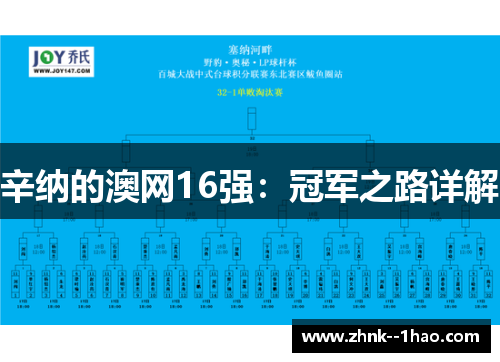 辛纳的澳网16强：冠军之路详解