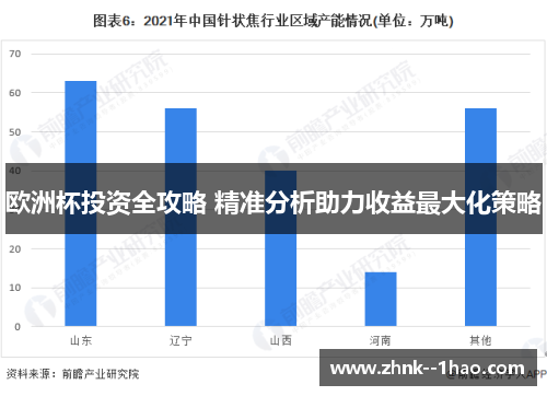 欧洲杯投资全攻略 精准分析助力收益最大化策略 欧洲杯投资全攻略 精准分析助力收益最大化策略