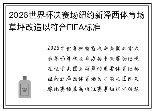 2026世界杯决赛场纽约新泽西体育场草坪改造以符合FIFA标准 2026世界杯决赛场纽约新泽西体育场草坪改造以符合FIFA标准